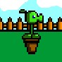 pvz3重制版為什么進不去