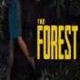 the forest支持幾人聯(lián)機