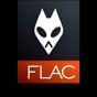 flac格式播放